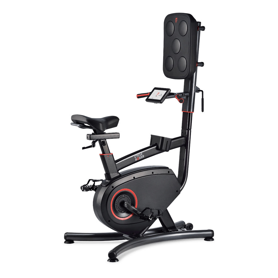 upright bike with boxing pad
