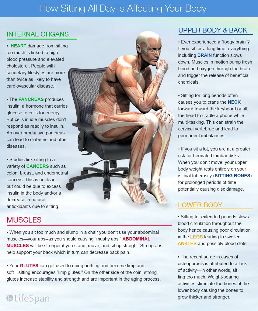 harmful effects of sitting on the body infographic