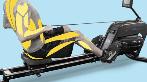 Muscles being used when exercising on the LifeSpan Fitness Aqua Rower 