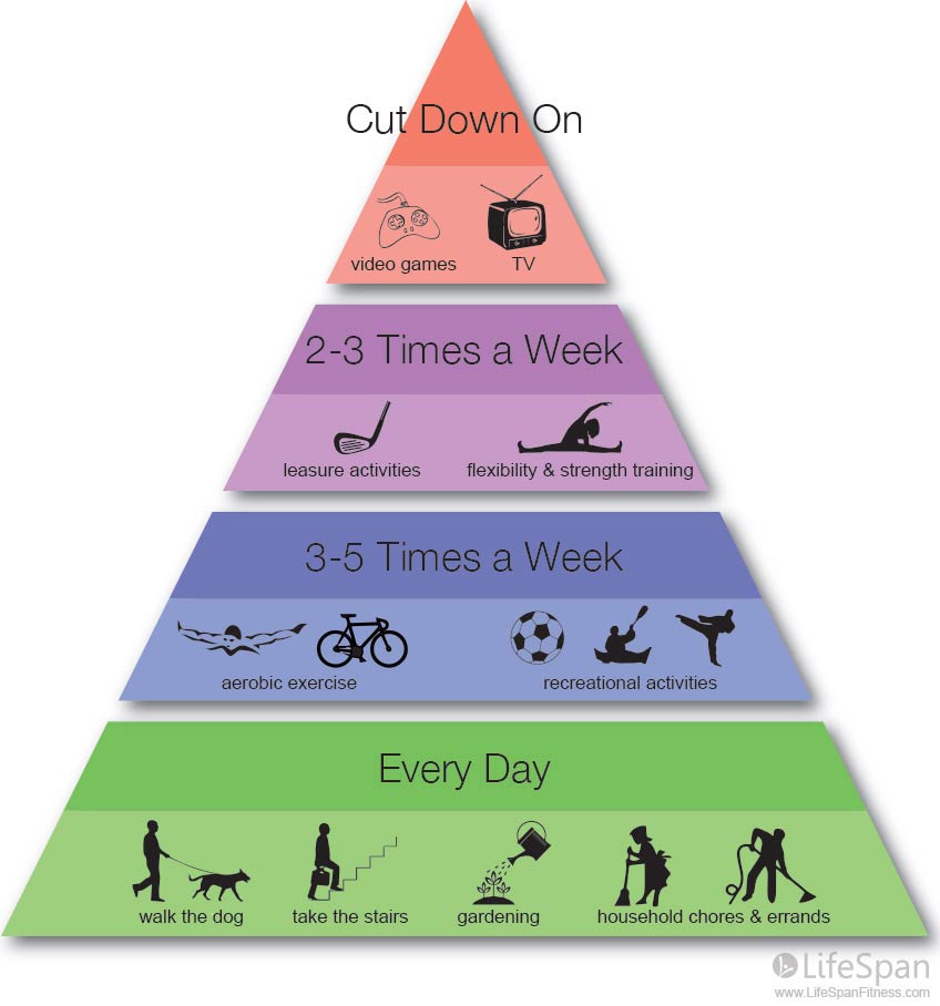 physical activity pyramid infographic