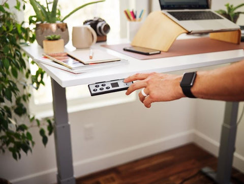 LifeSpan Fitness Standing Desk 