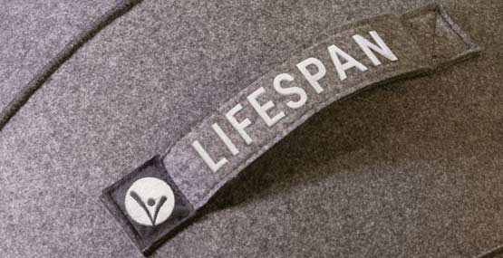 Handle on the Lifespan Fitness Yoga Ball