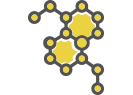 T4 hormone levels